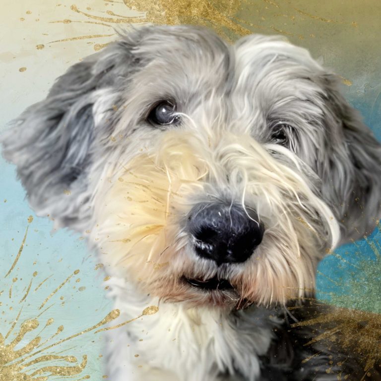 Marvellous Marvin's Fur Baby Art Fluffy grey and white dog with a friendly expression against a textured blue and gold background.